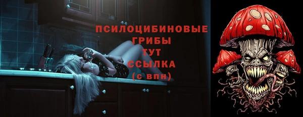 спиды Кинешма