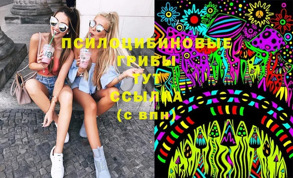 спайс Карталы