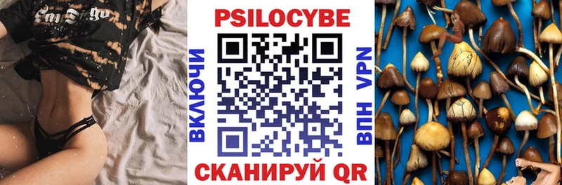 Купить  Рязань  Галлюциногенные грибы Magic Shrooms 
